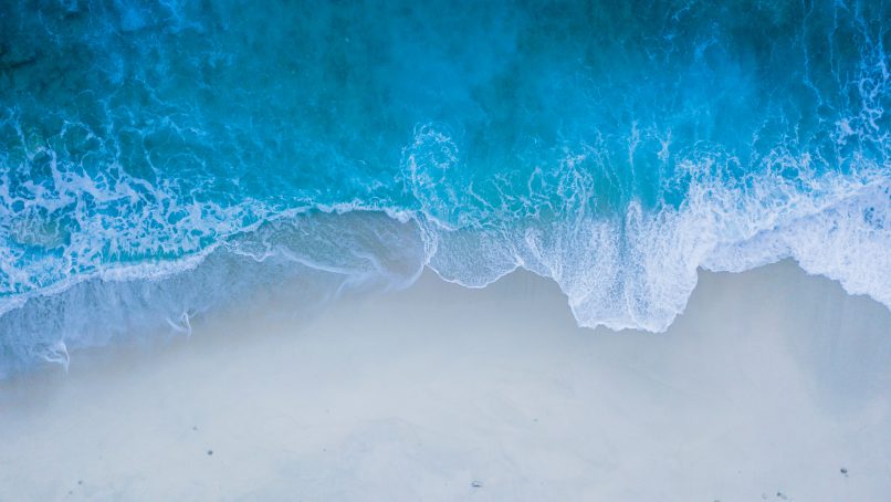 bird's eye view of seashore