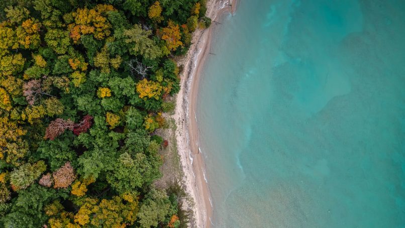 aerial photography of beach