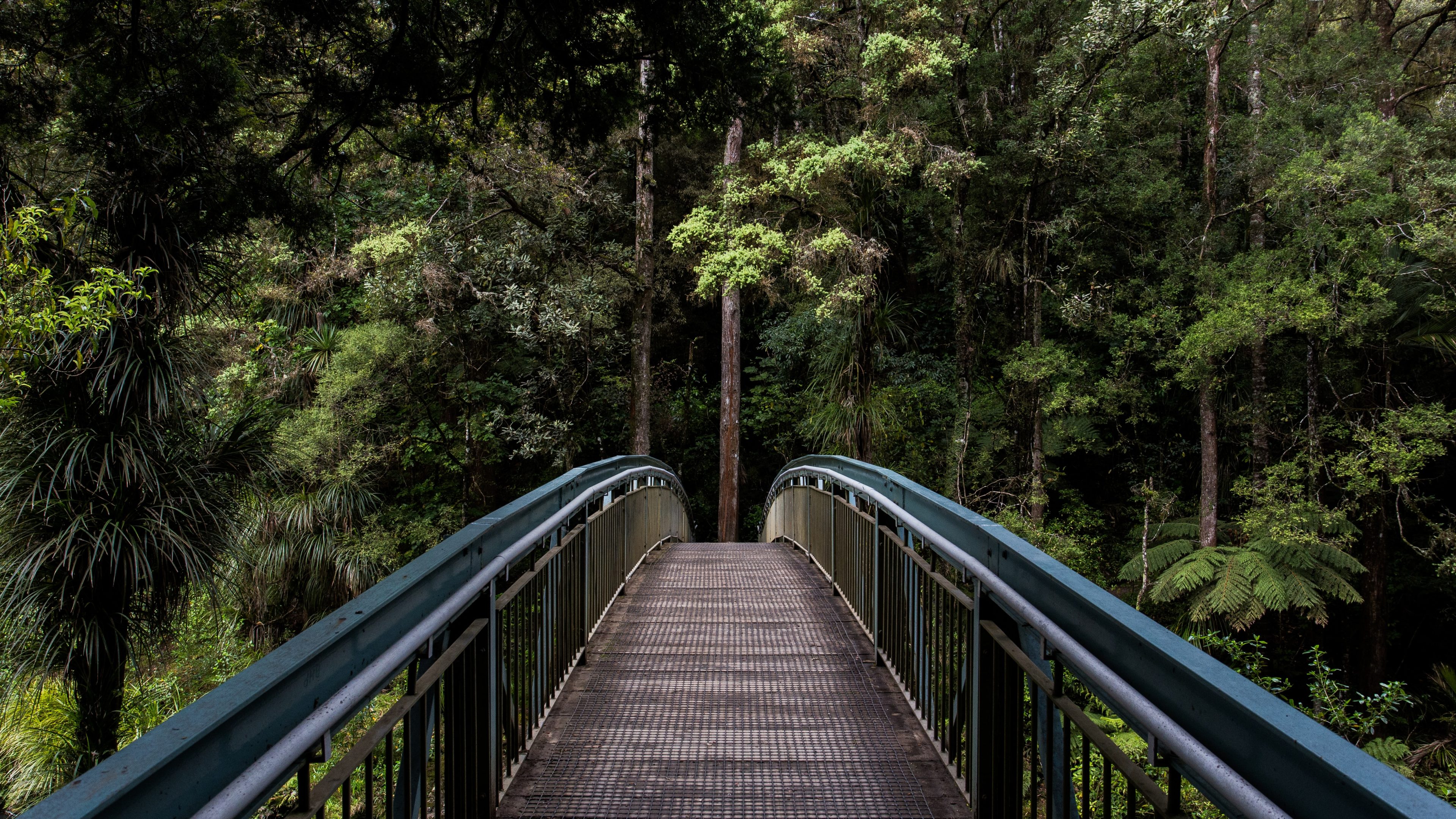 blue and brown steel bridge