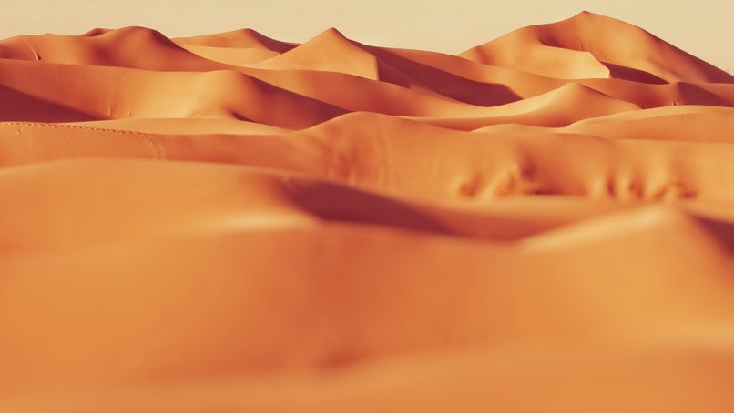 landscape photo of sand