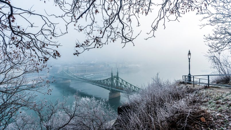 black bridge during foggy day