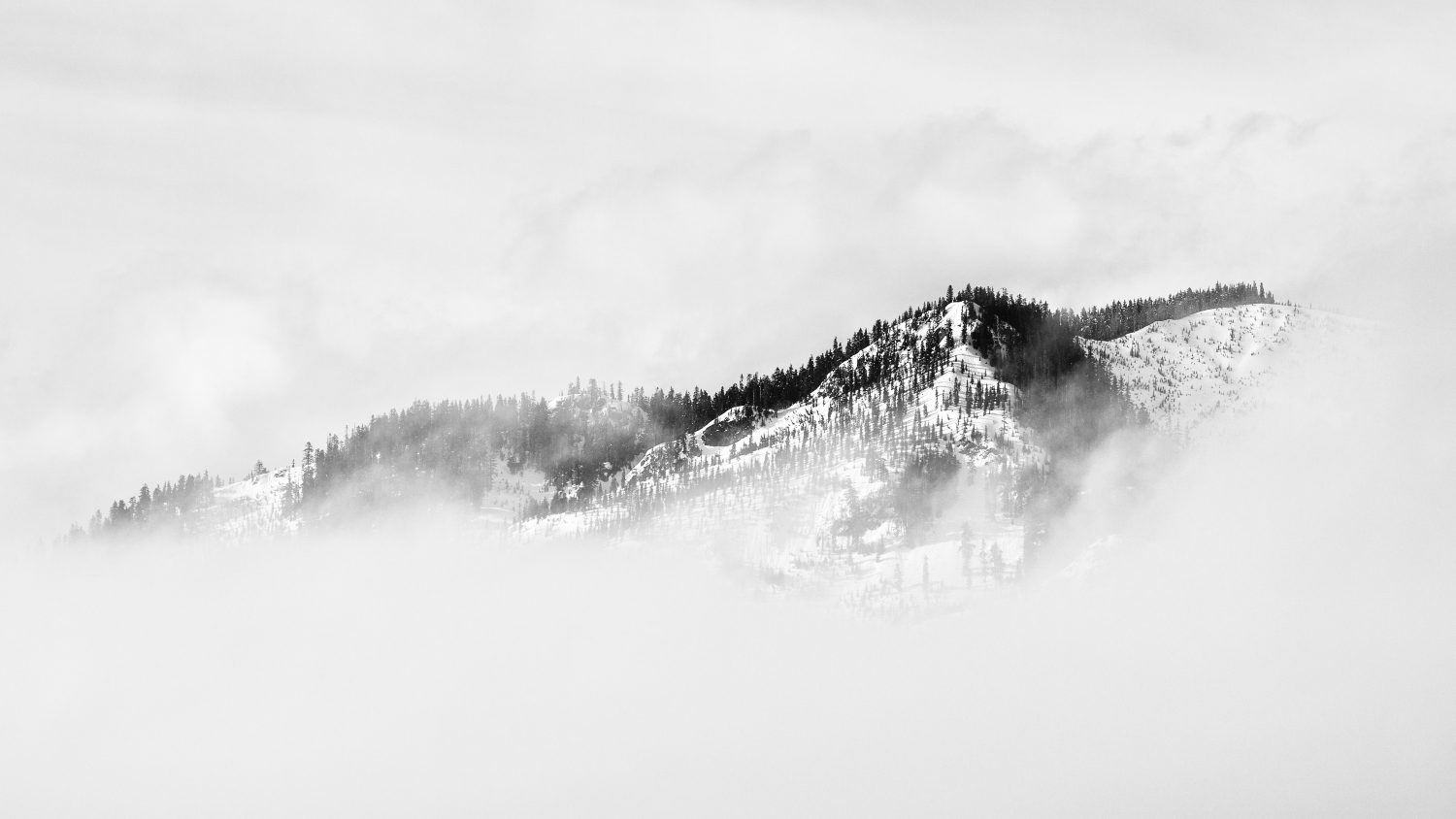 fog covered snow covered mountain