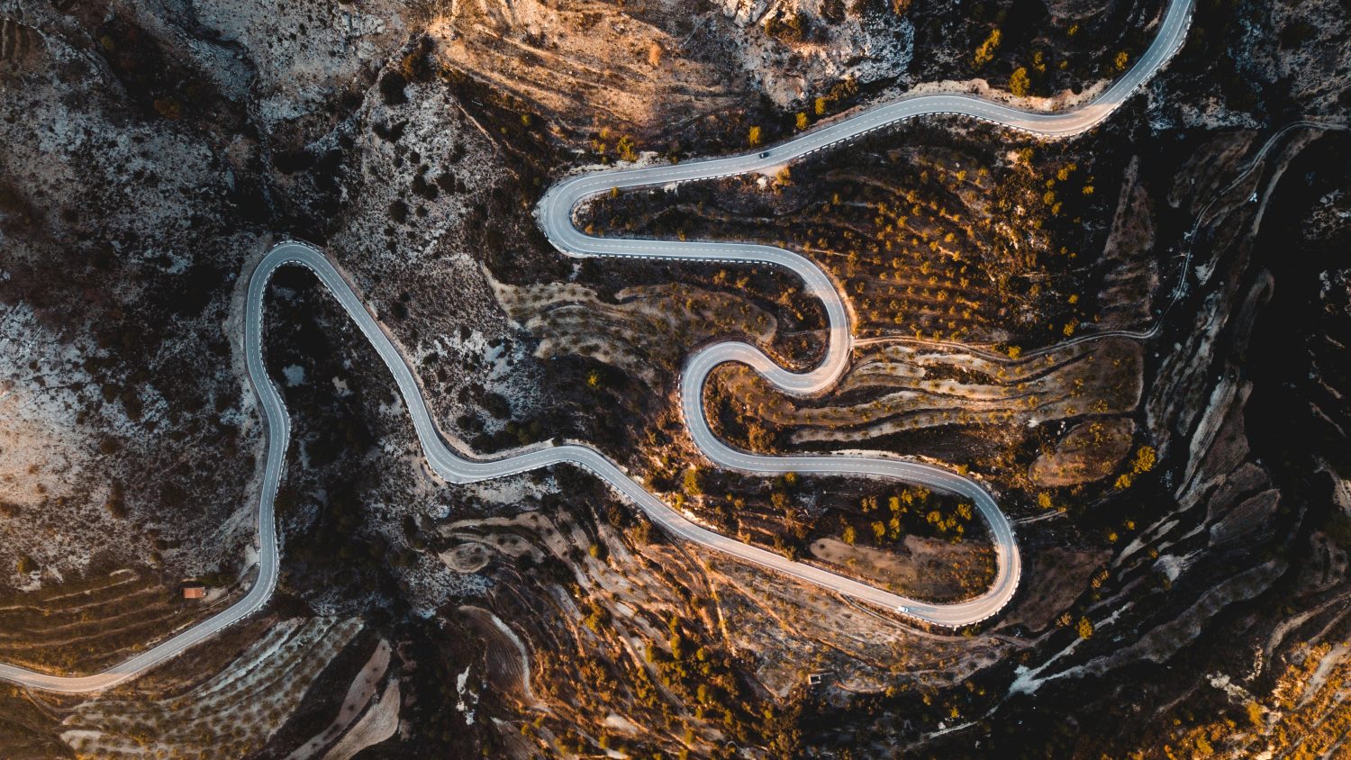 aerial photography of road