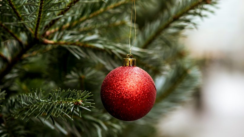 a close up of a fruit tree