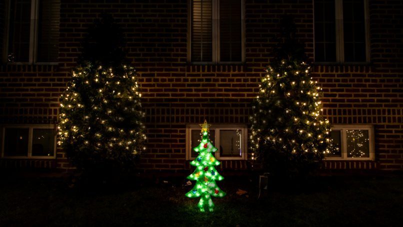 a couple of trees in front of a brick building — Samsung Frame TV art