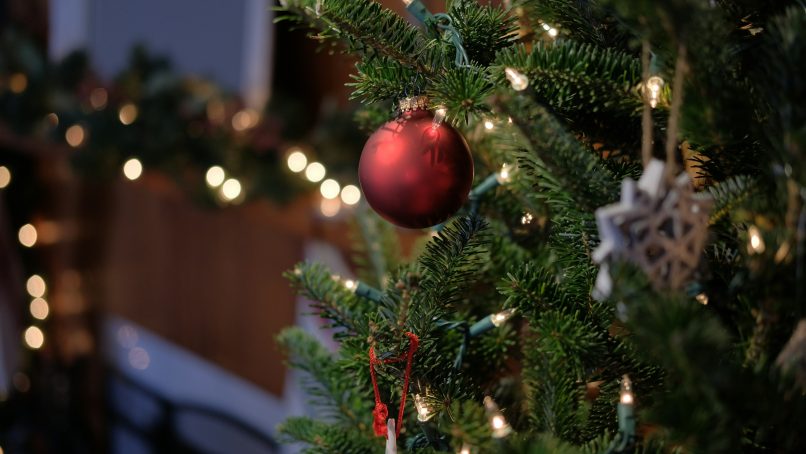 shallow focus of bauble ball