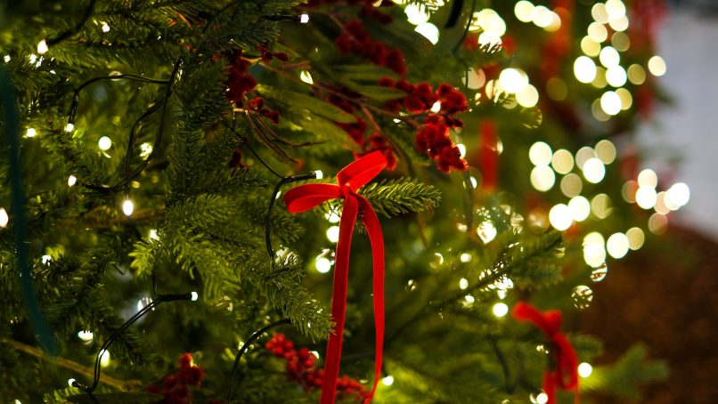 A close up of a christmas tree with lights