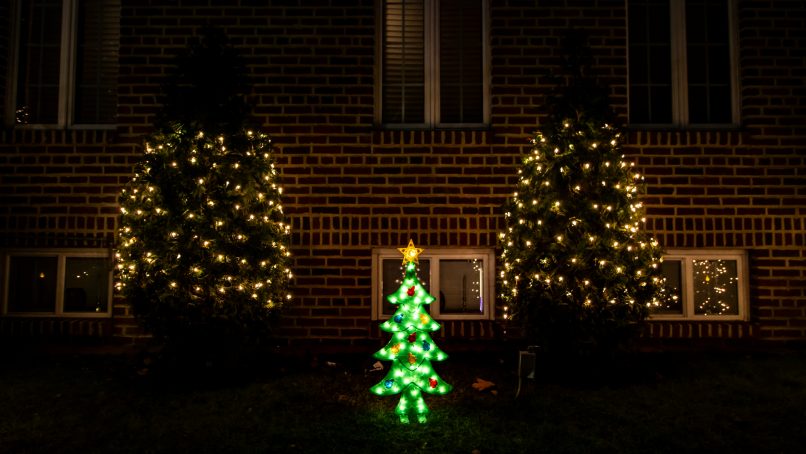 a couple of trees in front of a brick building