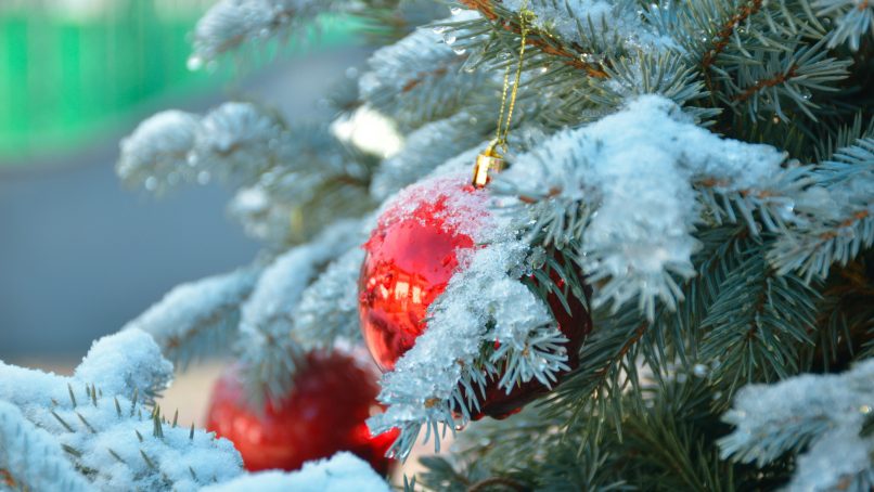 a red ornament hanging from a pine tree