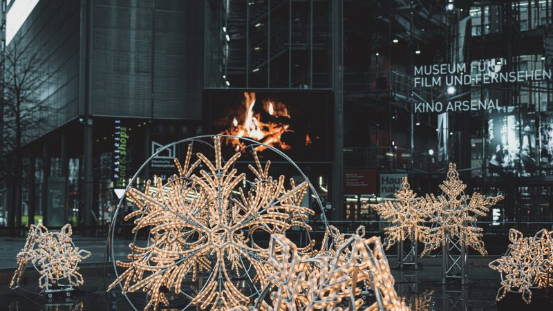 brown and white plant near building during daytime — Samsung Frame TV art