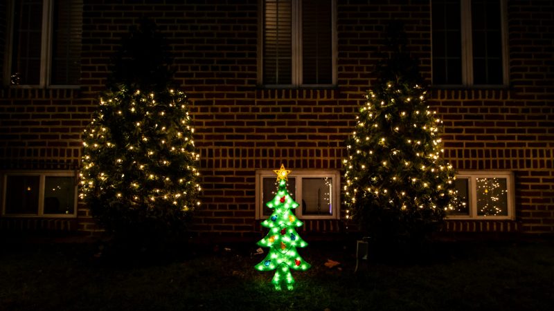a couple of trees in front of a brick building — Samsung Frame TV art