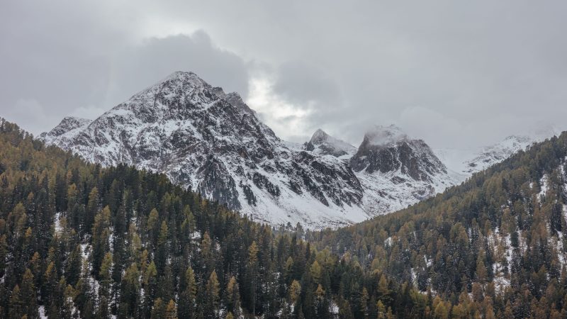 Snow Mountains and Pine Trees — Samsung Frame TV art