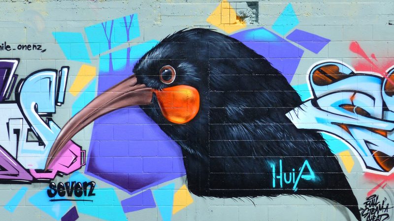Realistic bird graffiti on an urban wall — Samsung Frame TV art
