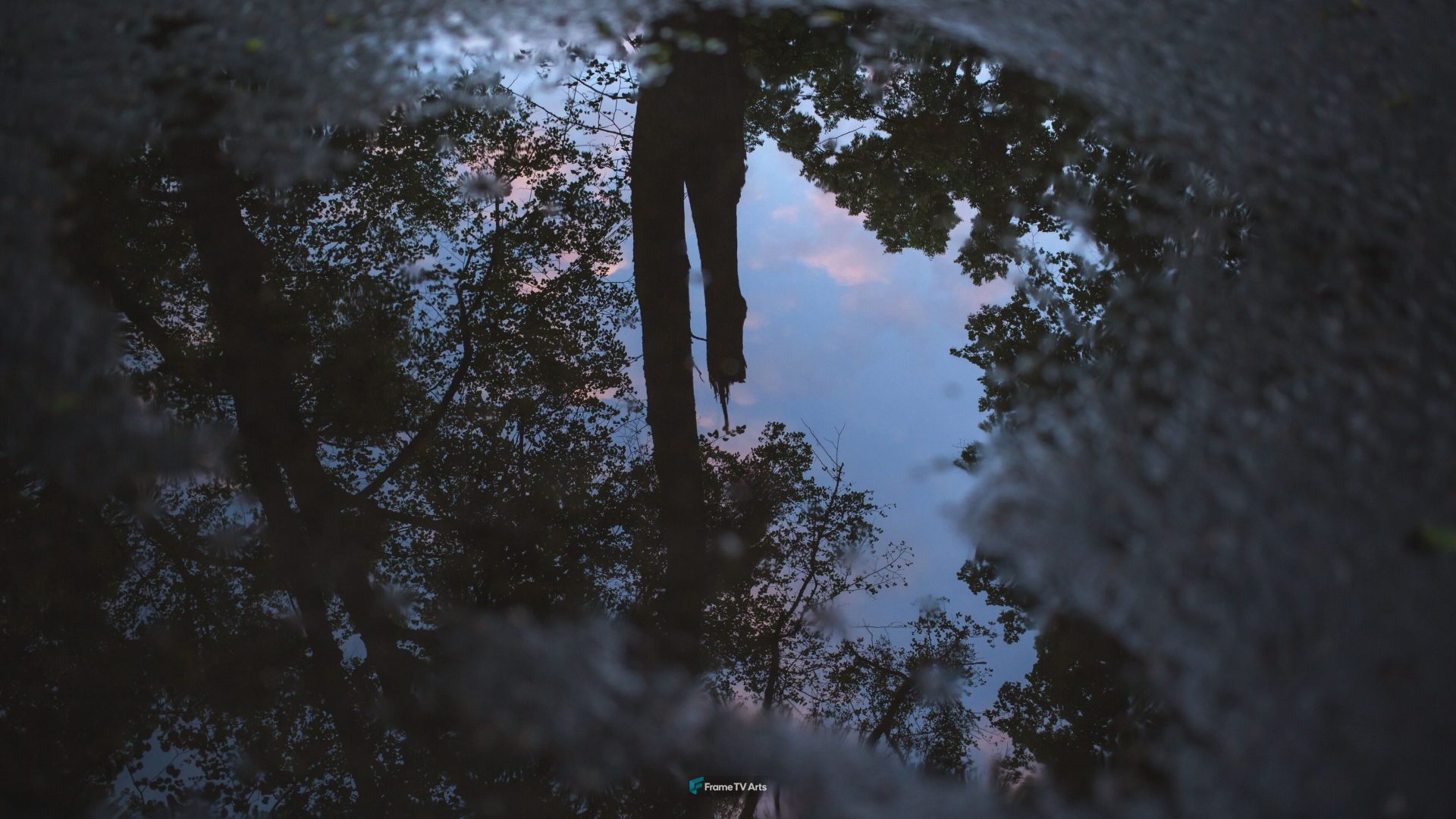 Reflection of a person in a puddle with trees — Samsung Frame TV art