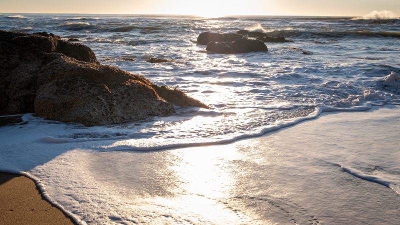 Golden sunset over frothy beach waves — Samsung Frame TV art