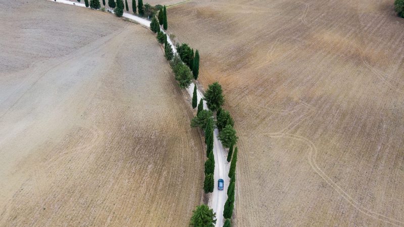 Aerial view of a tree-lined countryside road — Samsung Frame TV art