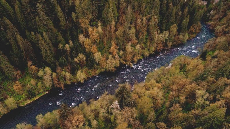 Aerial view of a winding river through a forest — Samsung Frame TV art