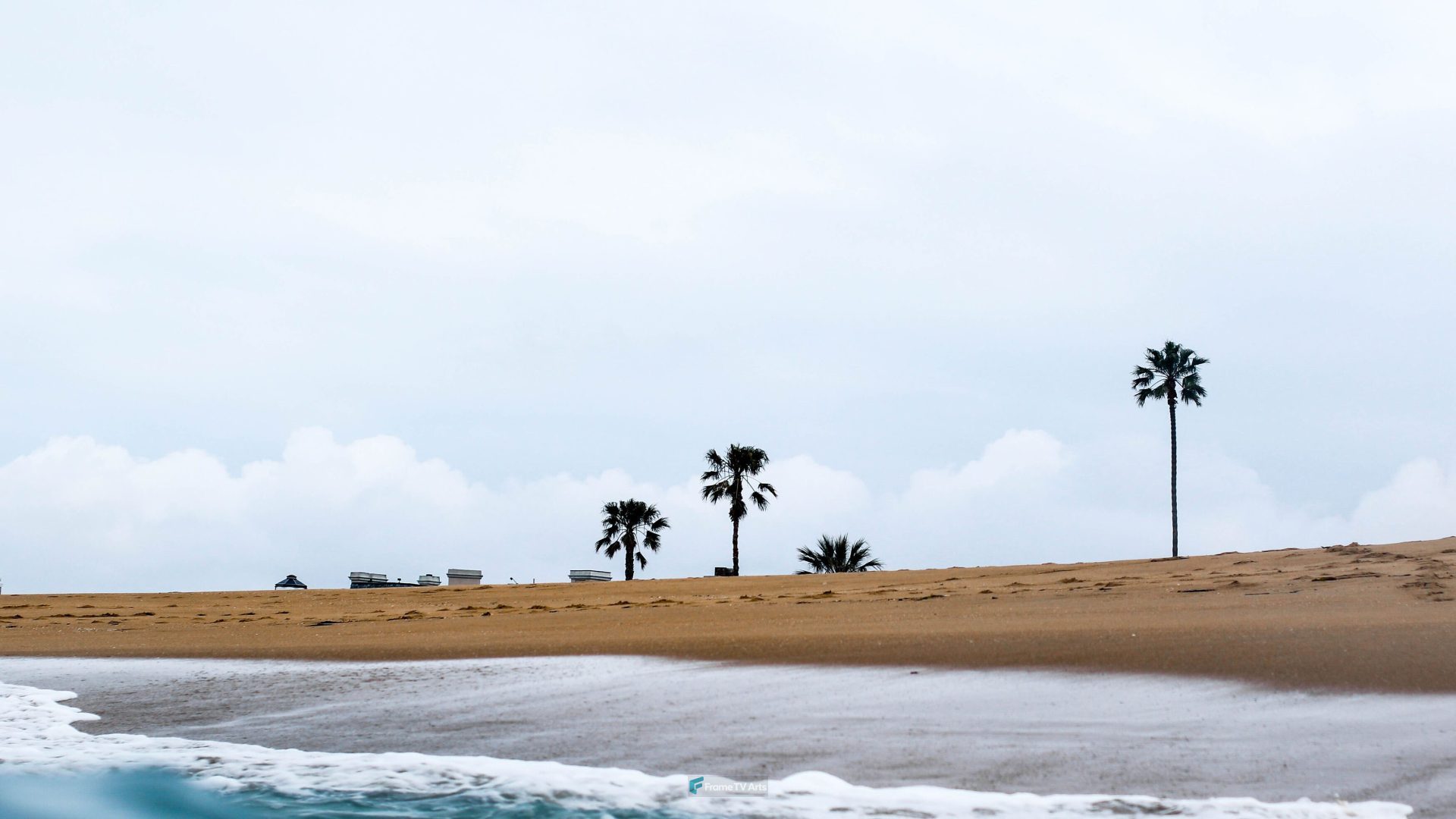Tropical beach with palm trees and ocean — Samsung Frame TV art