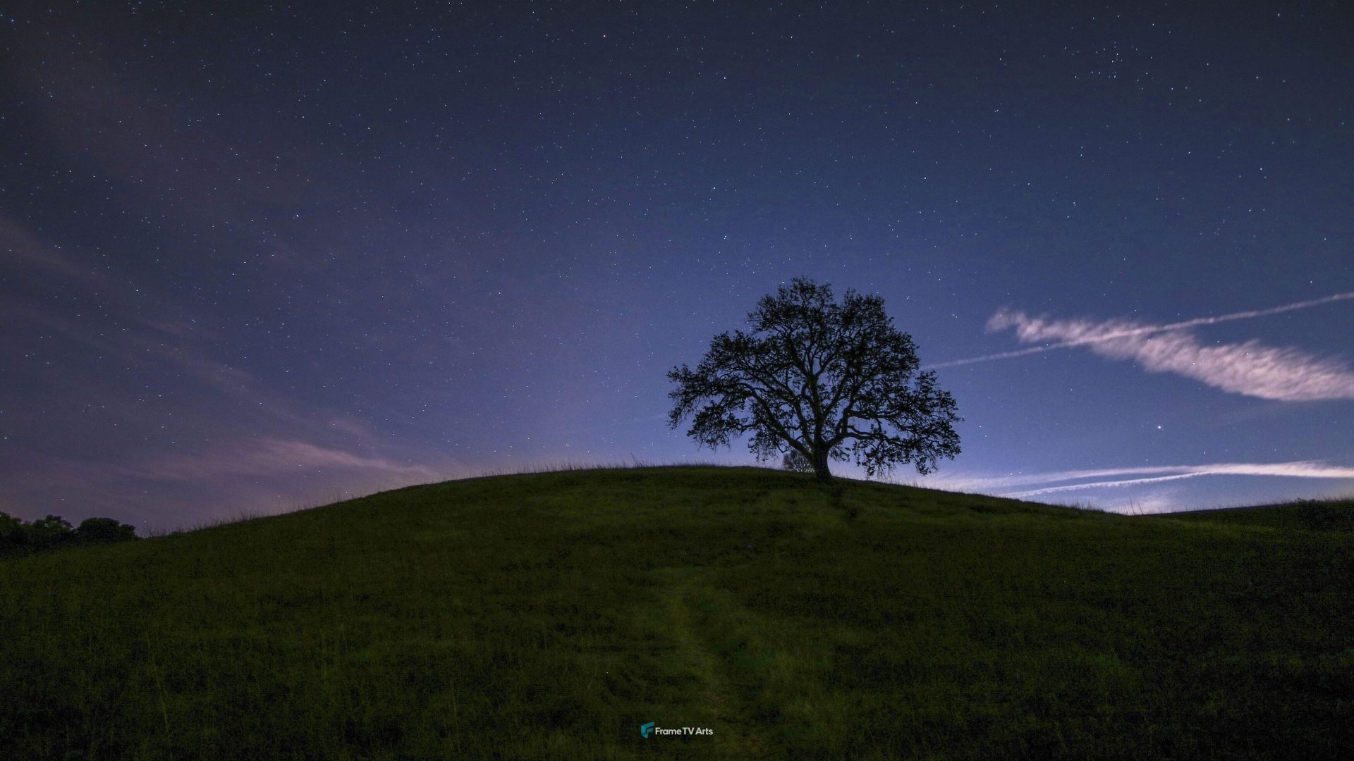 Starry night sky over a lone tree on a hill — Samsung Frame TV art