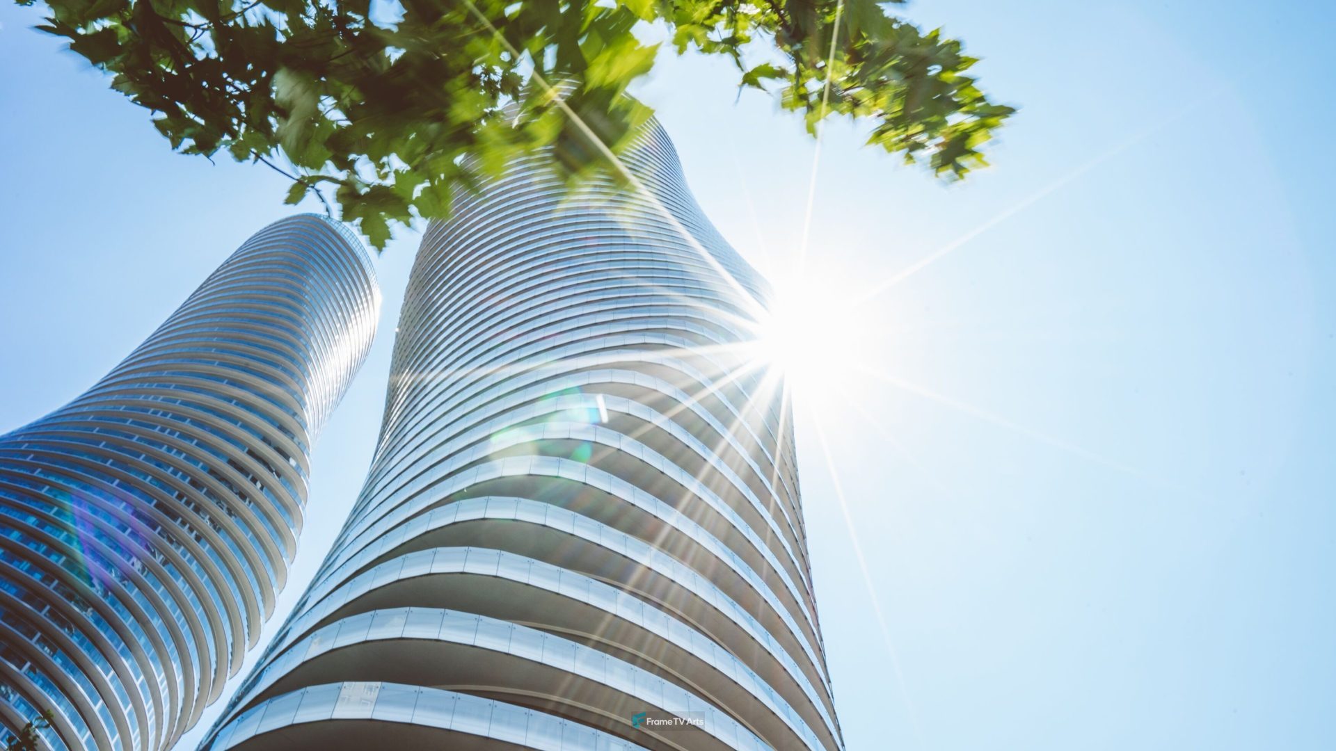 Sunlight through twin towers with curved shapes and leaves. — Samsung Frame TV art