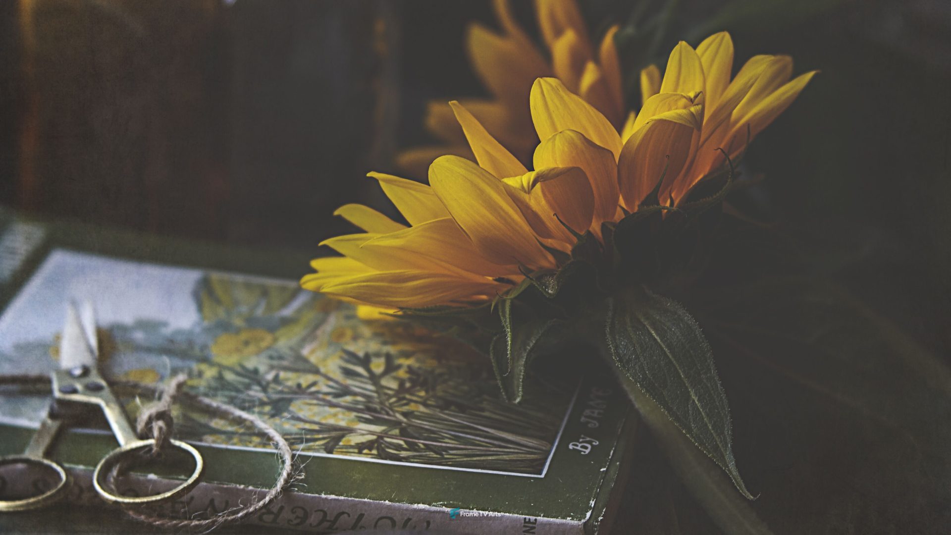 Yellow flowers on an illustrated book with scissors. — Samsung Frame TV art