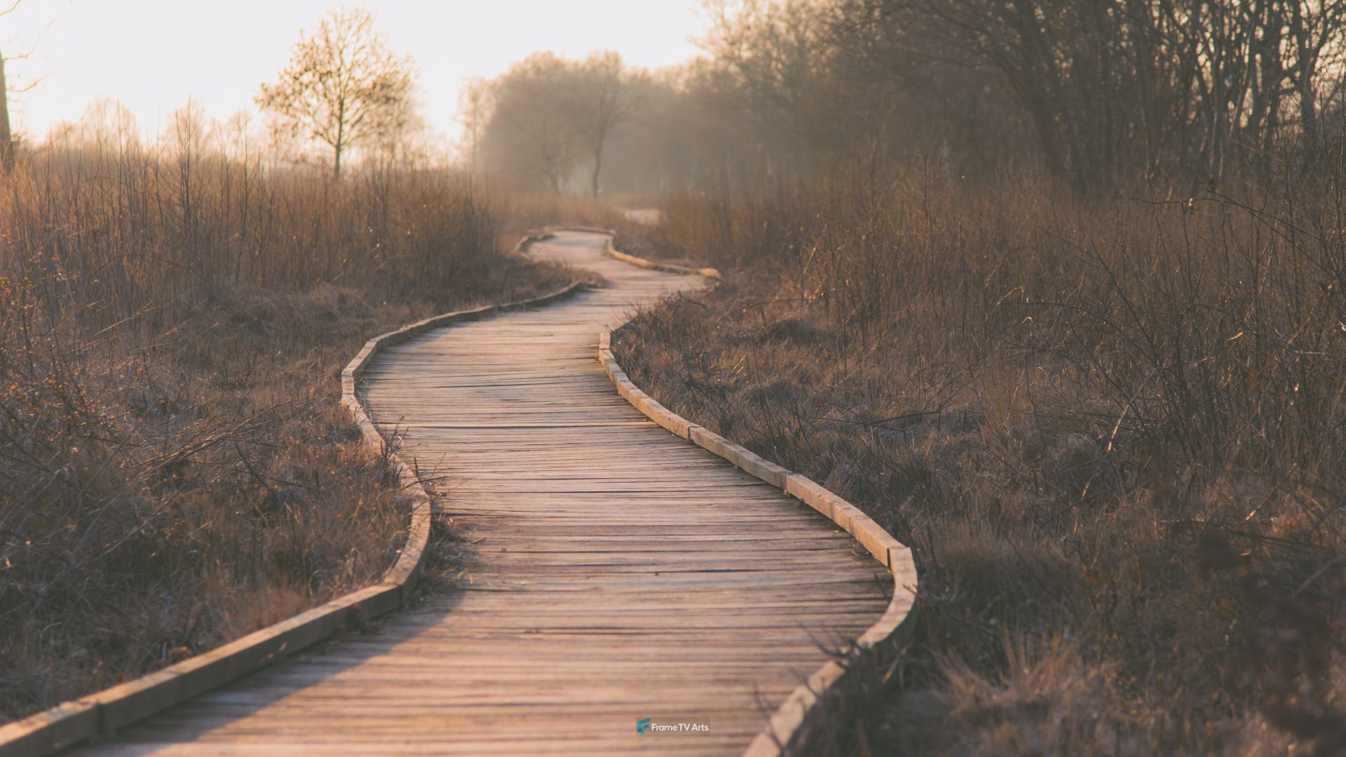 Wooden planks path — Samsung Frame TV art