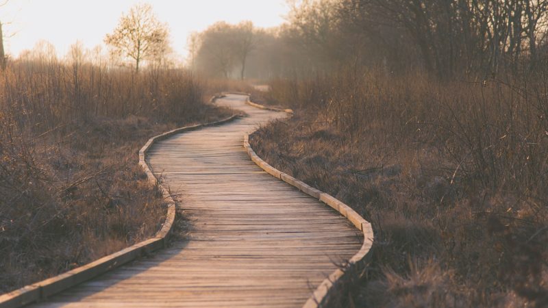 Wooden planks path — Samsung Frame TV art
