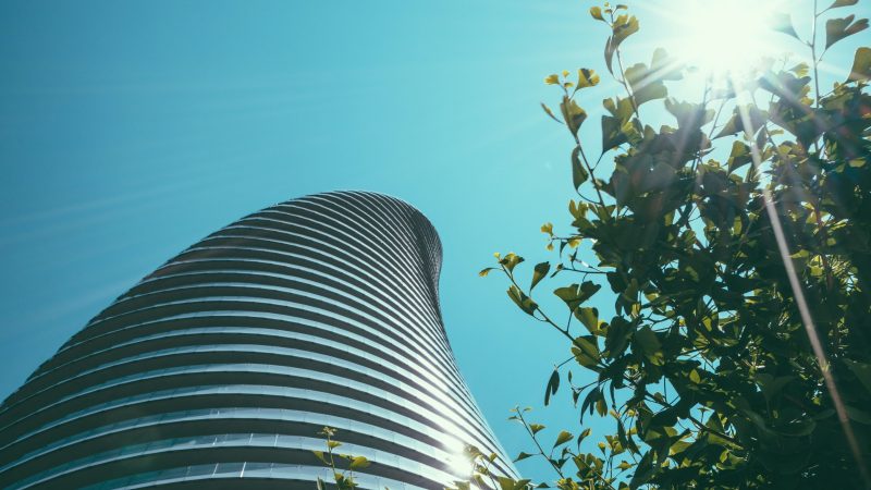 Curved Tower and green leaves from Below — Samsung Frame TV art