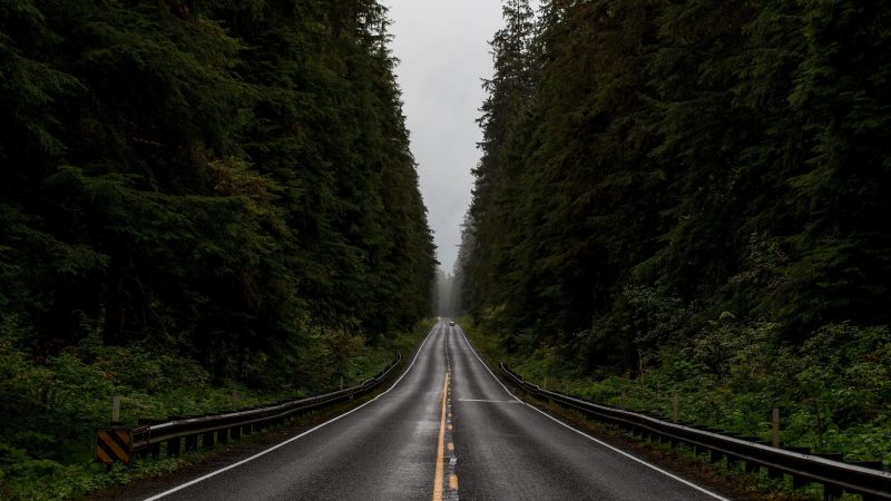 Forest Highway and dark clouds — Samsung Frame TV art