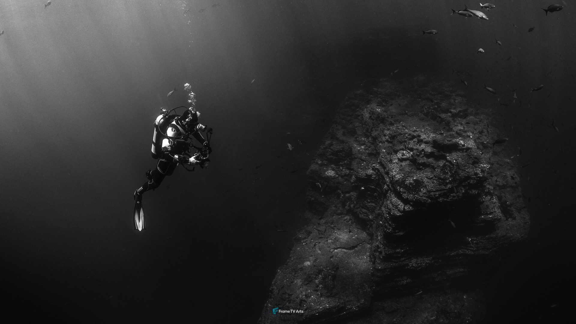grayscale photo of person scuba diving — Samsung Frame TV art