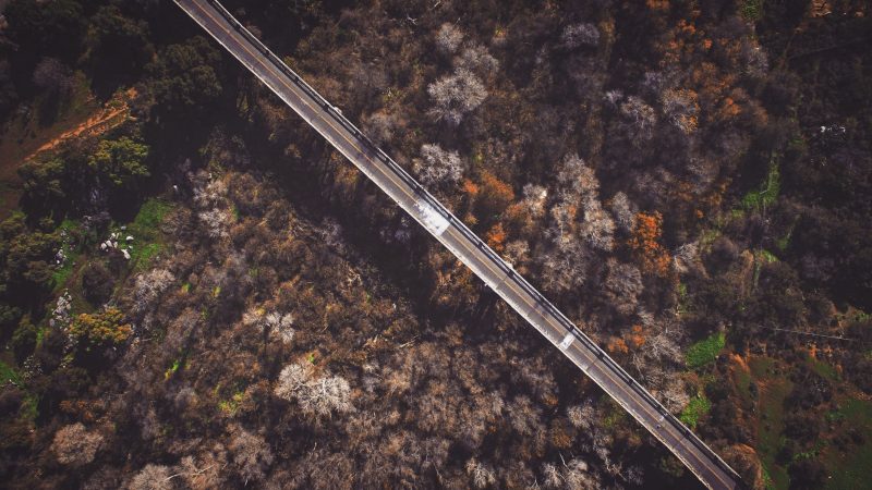 Aerial shot of road amidst autumn trees — Samsung Frame TV art