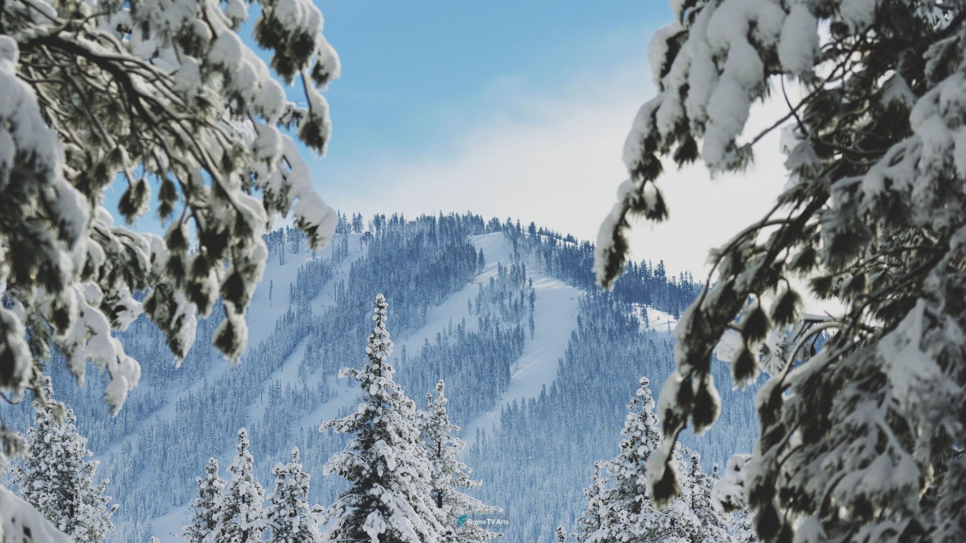Snowy mountain with evergreen trees in the foreground — Samsung Frame TV art
