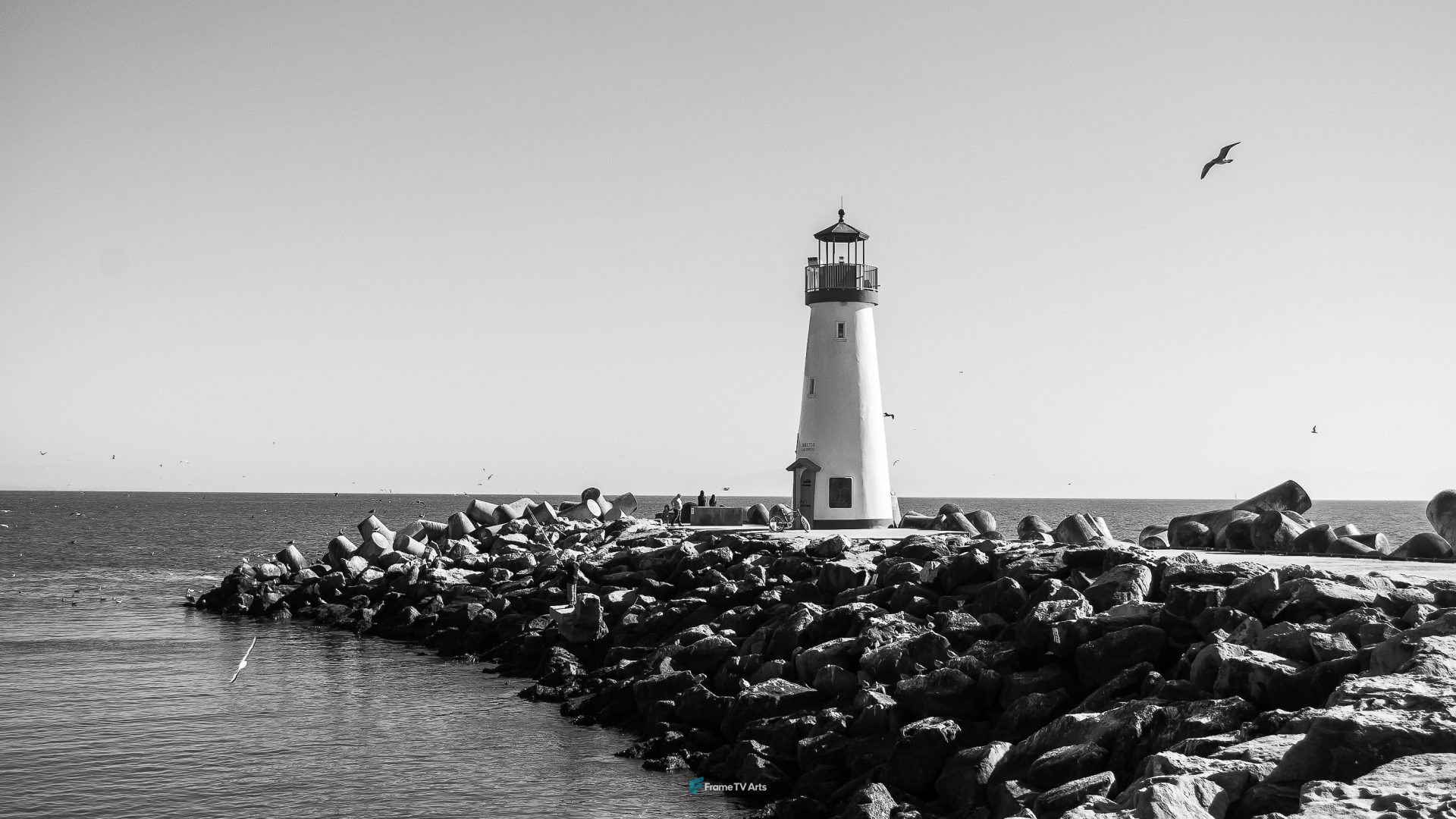 Lighthouse near ocean in Santa Cruz – Black and White — Samsung Frame TV art