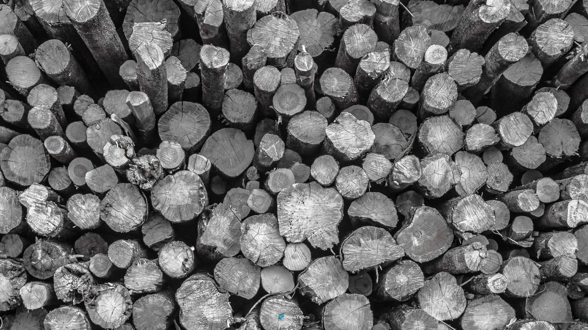 Wooden logs – Black and White — Samsung Frame TV art