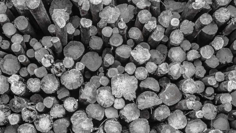 Wooden logs – Black and White — Samsung Frame TV art