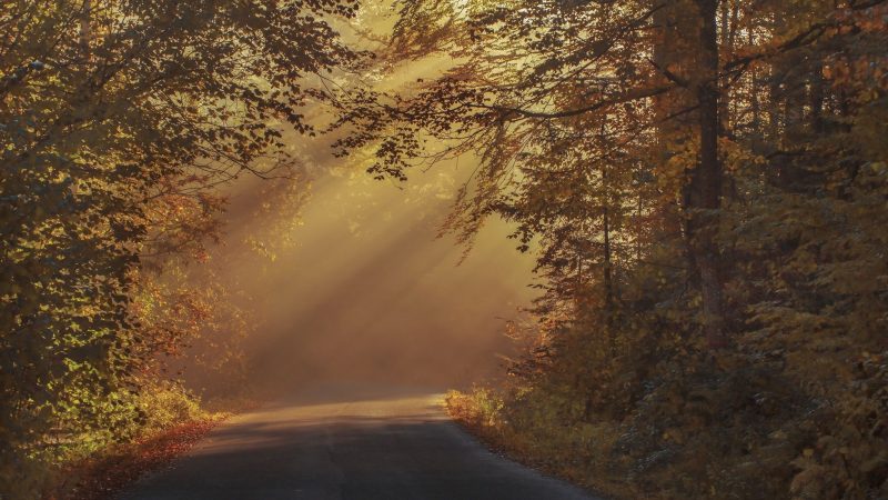 Sunbeam on road — Samsung Frame TV art
