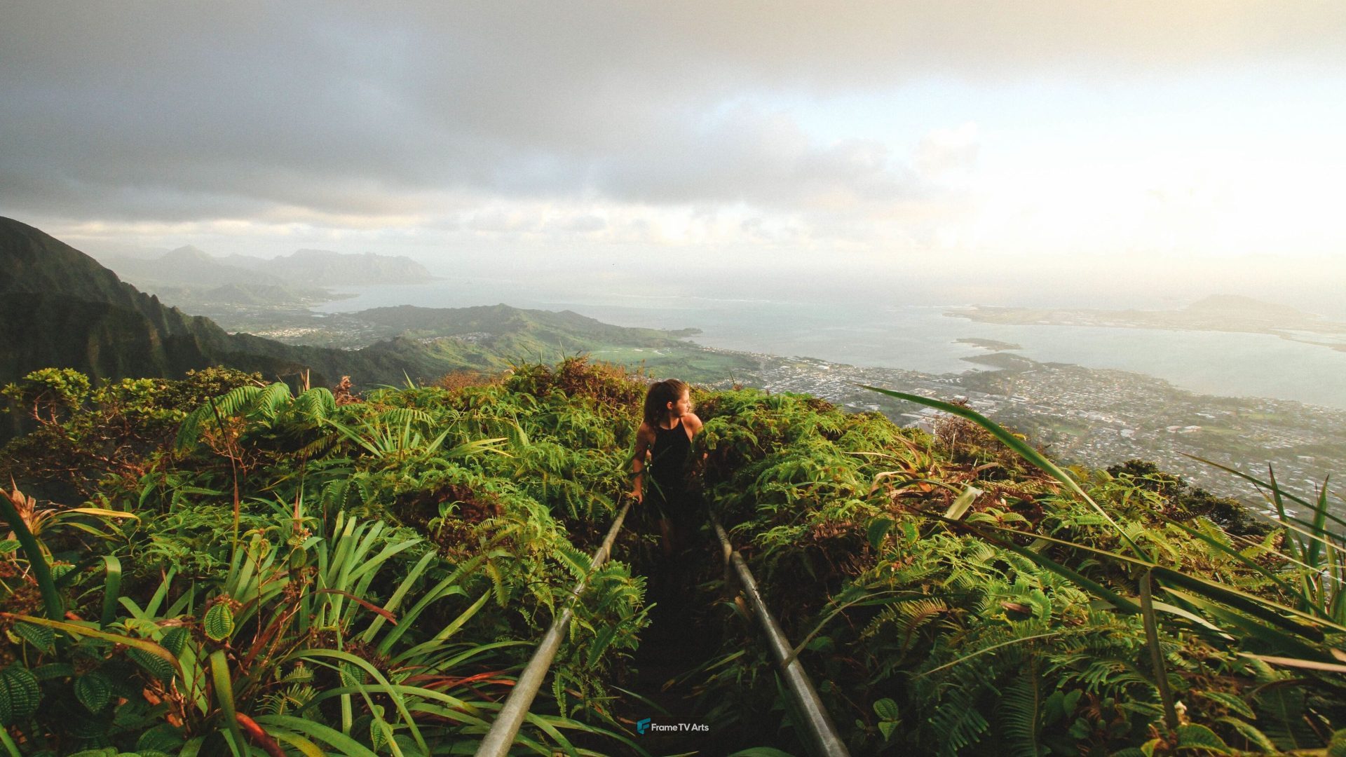Hiker overlooking a lush tropical landscape — Samsung Frame TV art