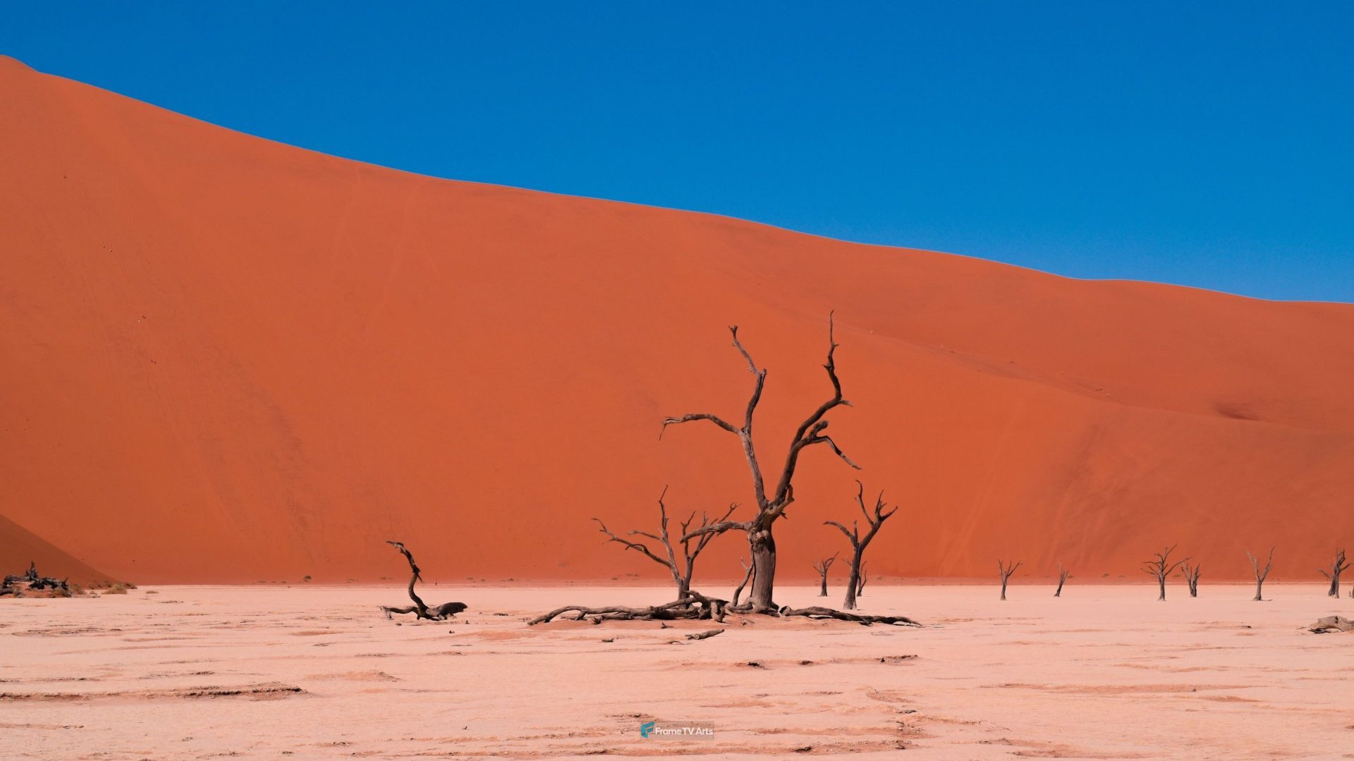 Barren Desert and Dried Tree — Samsung Frame TV art