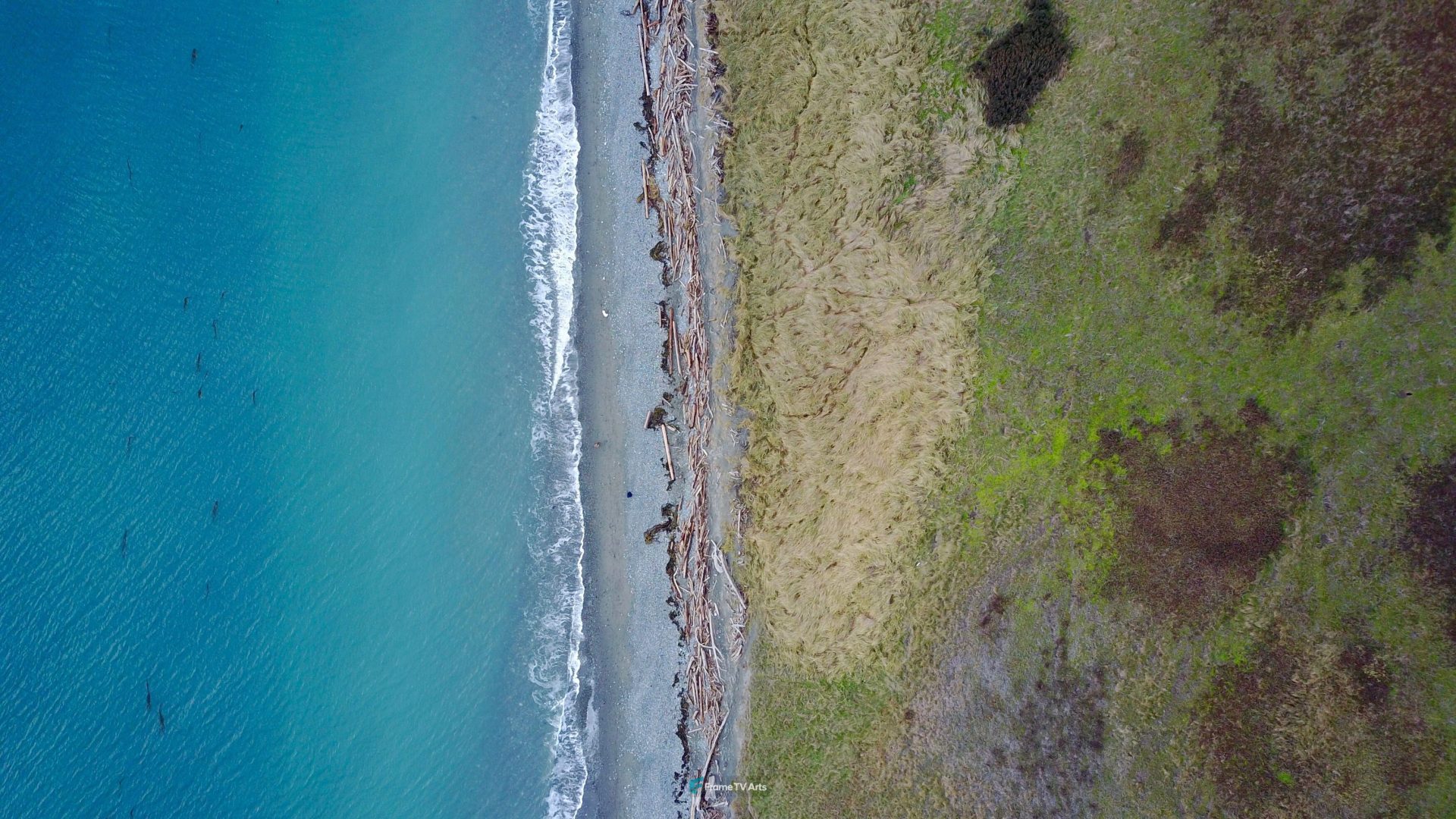 Aerial photo of coast with waves and grass — Samsung Frame TV art
