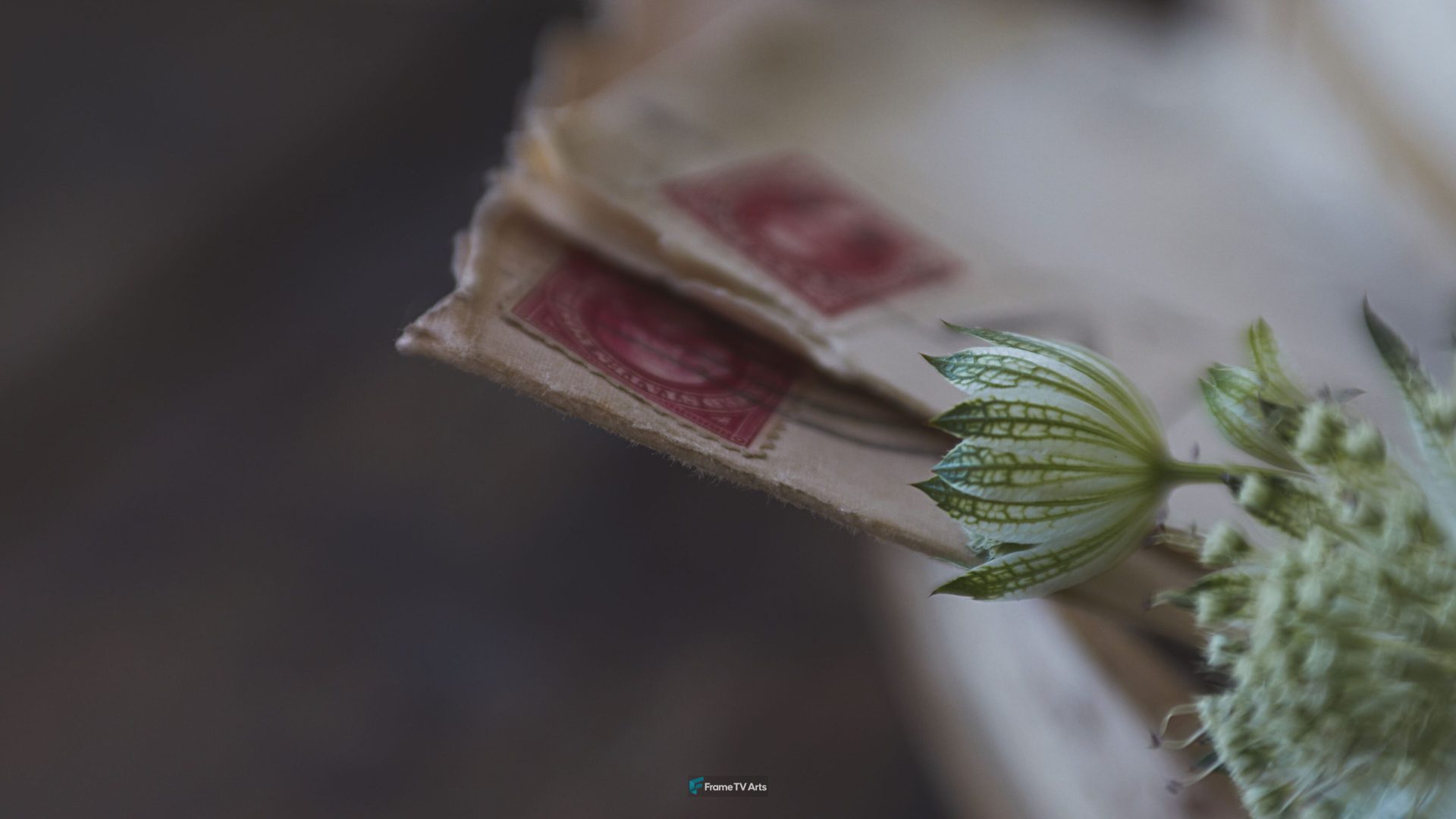 Vintage letters with stamps and delicate greenery — Samsung Frame TV art