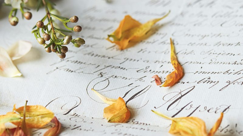 Pressed flowers and leaves on vintage handwritten letter — Samsung Frame TV art