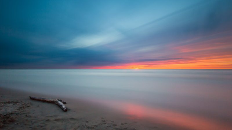 Driftwood at seashore during sunset — Samsung Frame TV art