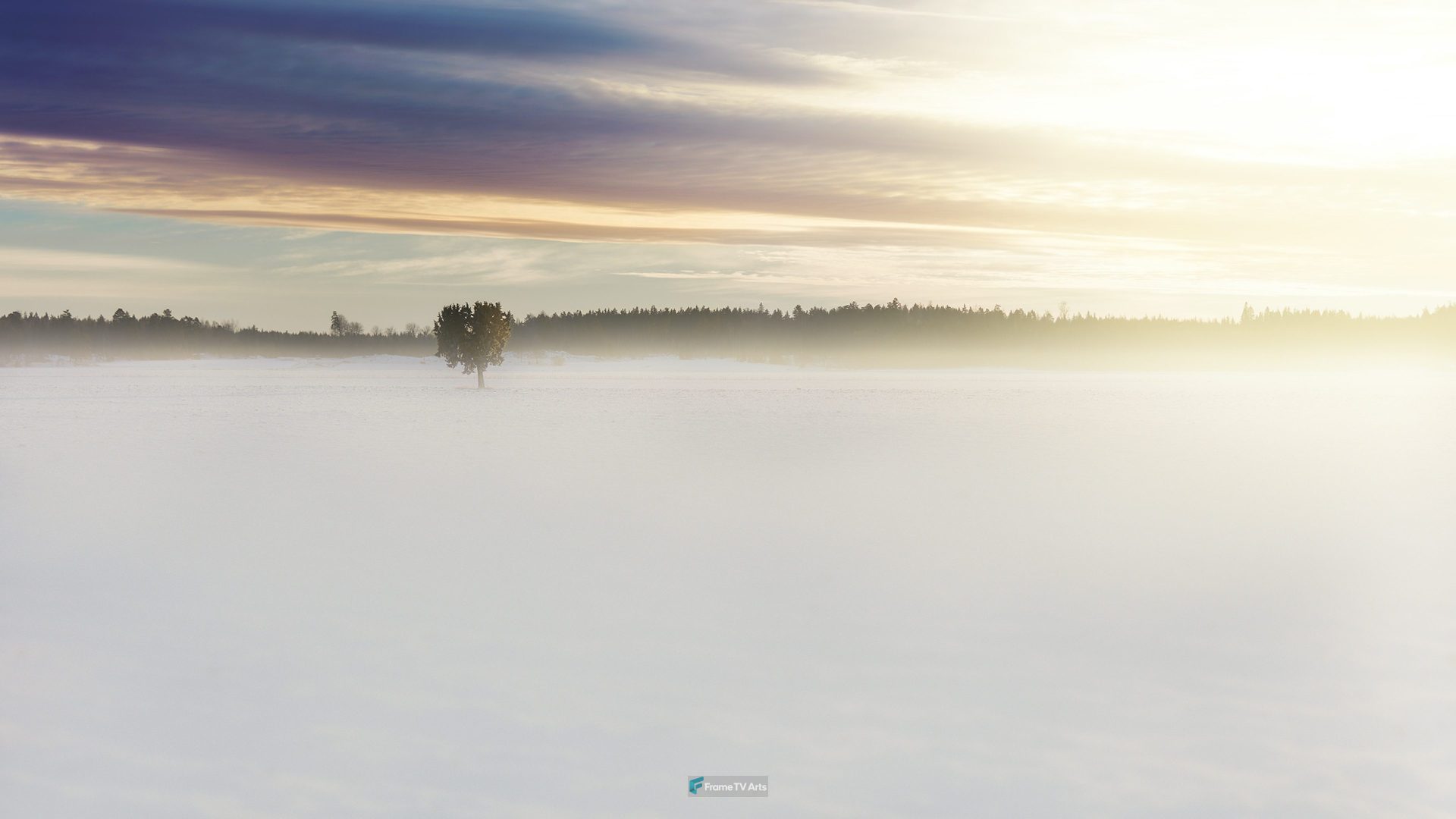 green tree in middle of fog under cloudy sky — Samsung Frame TV art