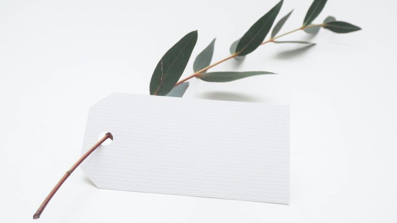 green leaf with white card — Samsung Frame TV art