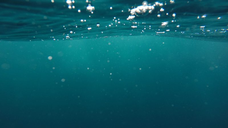 photo of underwater — Samsung Frame TV art