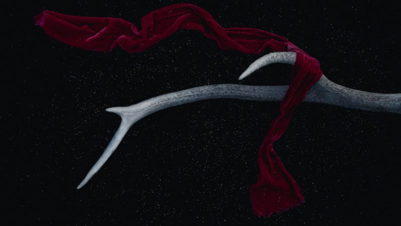 red scarf on antler — Samsung Frame TV art