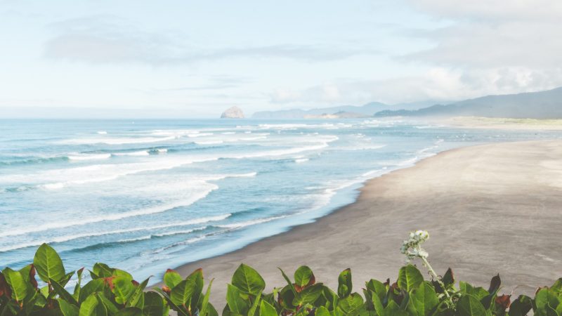 aerial photography of waves splashing on seashore during daytime — Samsung Frame TV art